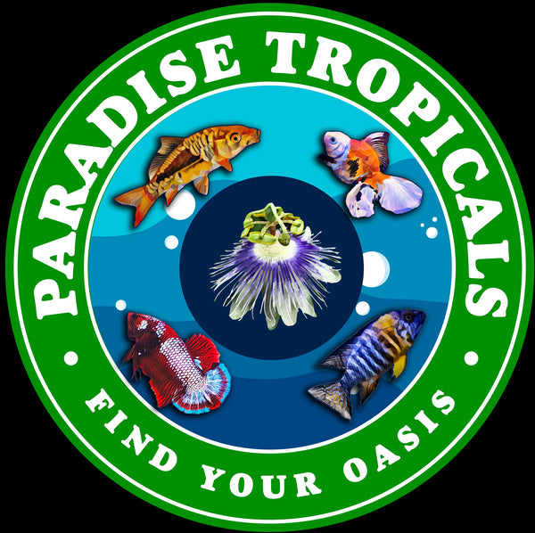 Paradise Tropicals LLC